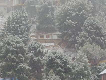 Parcela rústica en venta en La Zubia