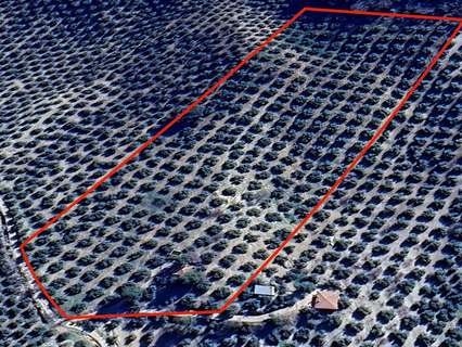 Parcela rústica en venta en Montefrío