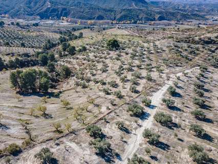 Parcela rústica en venta en Jayena