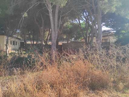 Parcela rústica en venta en Chiclana de la Frontera