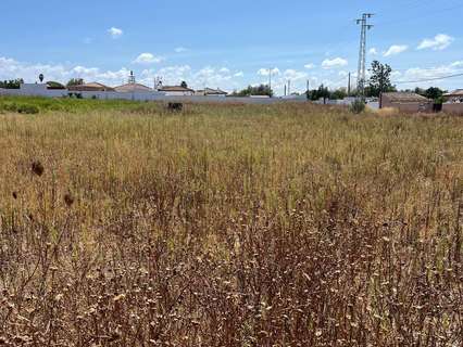 Parcela rústica en venta en Chiclana de la Frontera