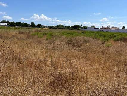 Parcela rústica en venta en Chiclana de la Frontera