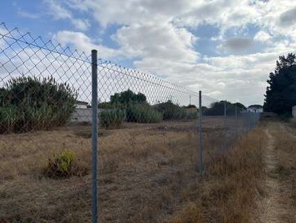 Parcela rústica en venta en Chiclana de la Frontera