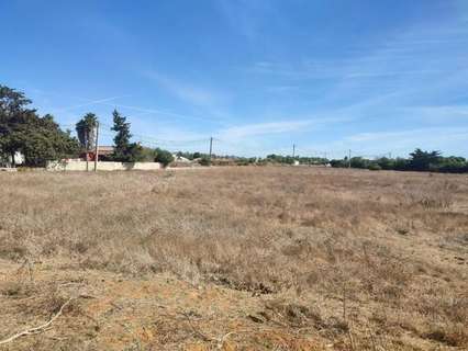 Parcela rústica en venta en Chiclana de la Frontera