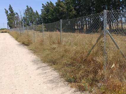Chalet en venta en Chiclana de la Frontera rebajado