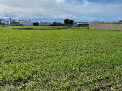 Parcela rústica en venta en Chiclana de la Frontera