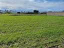Parcela rústica en venta en Chiclana de la Frontera