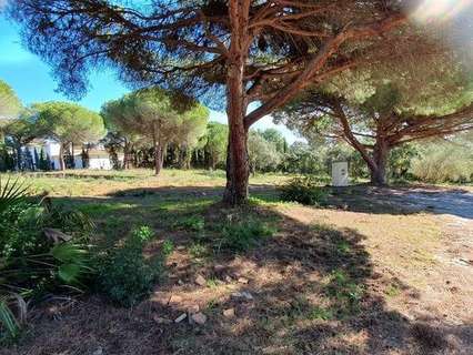 Parcela rústica en venta en San Roque zona Sotogrande