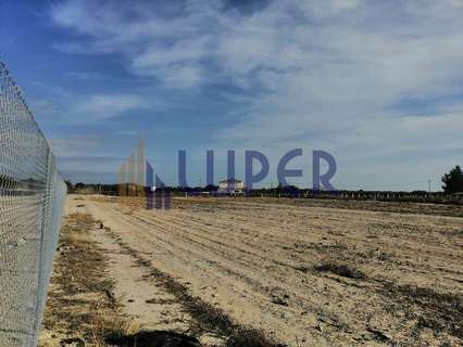 Parcela rústica en venta en Agost