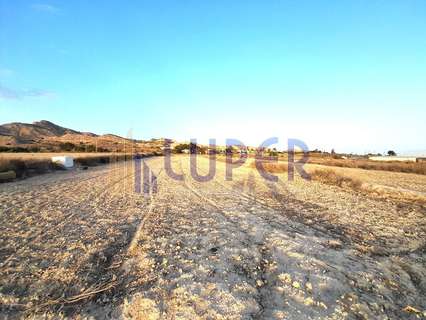 Parcela rústica en venta en Sant Vicent del Raspeig