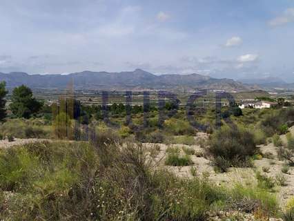 Parcela rústica en venta en Monforte del Cid