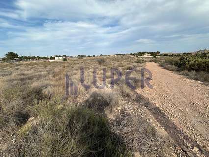 Parcela rústica en venta en Sant Vicent del Raspeig