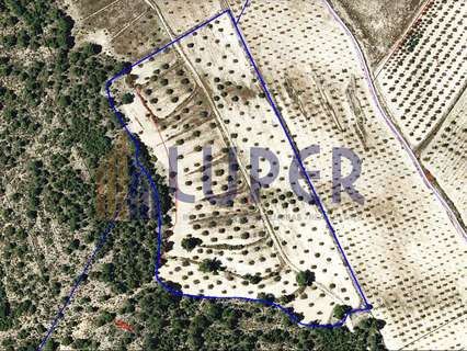 Parcela rústica en venta en Elda