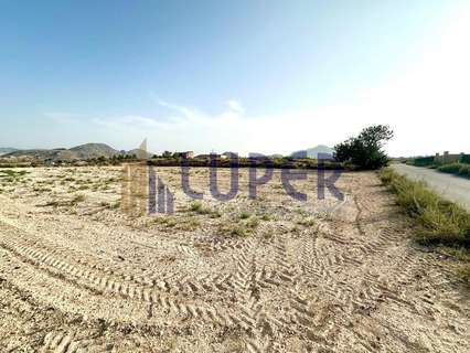 Parcela rústica en venta en Sant Vicent del Raspeig