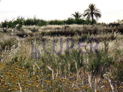 Parcela rústica en venta en Alicante
