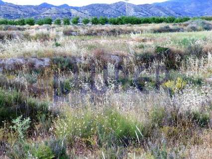 Parcela rústica en venta en Sant Vicent del Raspeig