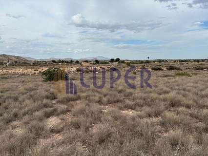 Parcela rústica en venta en Alicante zona Verdegas