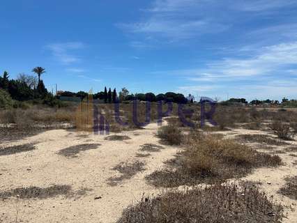 Parcela rústica en alquiler en Sant Joan d'Alacant