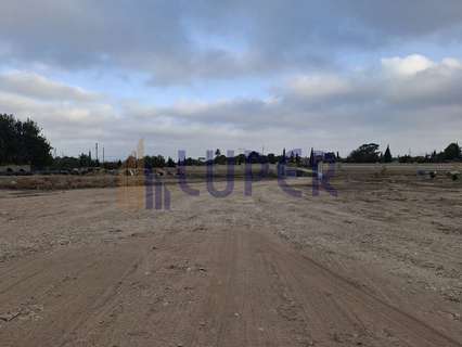 Parcela rústica en venta en Mutxamel