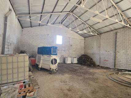 Nave industrial en venta en Pegalajar