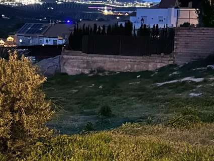 Parcela rústica en venta en La Guardia de Jaén
