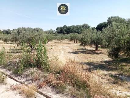 Parcela rústica en venta en Jaén rebajada