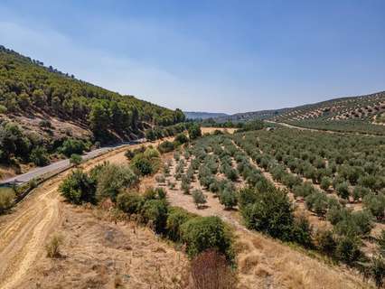 Parcela rústica en venta en Deifontes