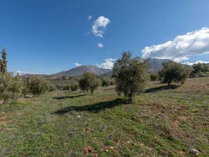 Parcela rústica en venta en Cogollos de la Vega