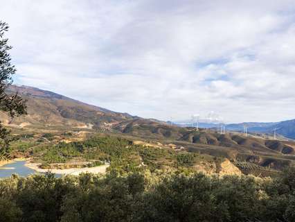Parcela rústica en venta en El Pinar