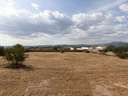 Parcela rústica en venta en Moraleda de Zafayona