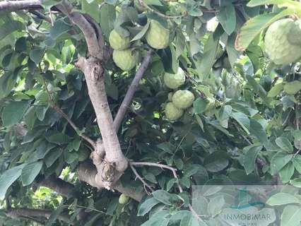 Parcela rústica en venta en Salobreña