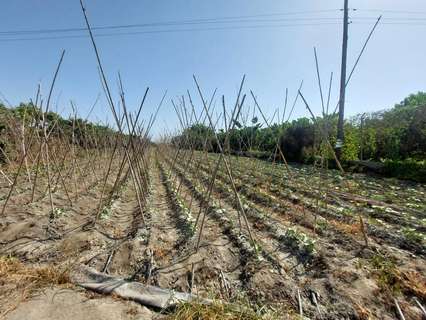 Parcela rústica en venta en Motril
