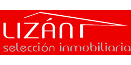 LIZAN INMOBILIARIA