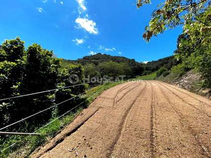 Masía en venta en Sant Iscle de Vallalta rebajada
