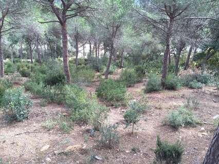 Parcela rústica en venta en Tordera