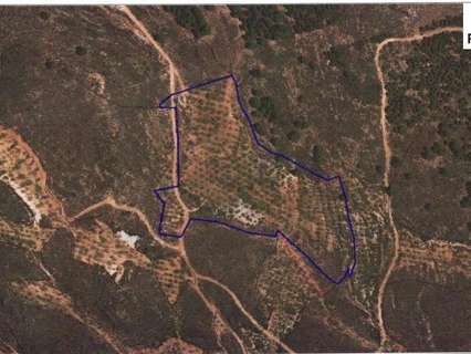 Parcela rústica en venta en Alcolea