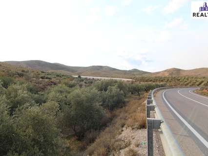 Parcela rústica en venta en Alcolea