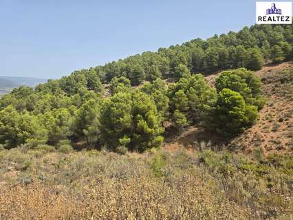 Parcela rústica en venta en Alcolea