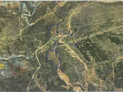 Parcela rústica en venta en Alcolea