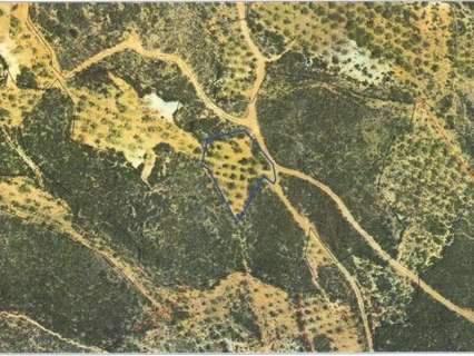 Parcela rústica en venta en Alcolea