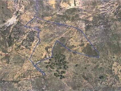 Parcela rústica en venta en Alcolea