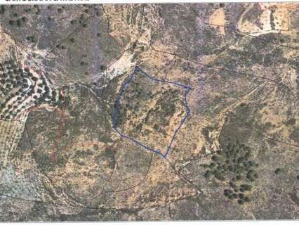 Parcela rústica en venta en Alcolea