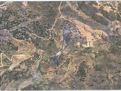 Parcela rústica en venta en Alcolea