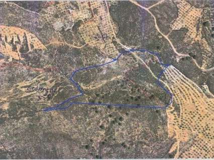 Parcela rústica en venta en Alcolea