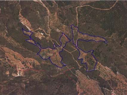 Parcela rústica en venta en Alcolea