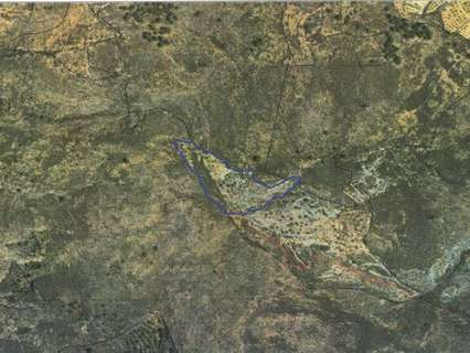 Parcela rústica en venta en Alcolea