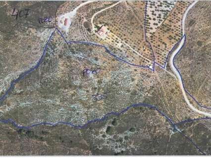 Parcela rústica en venta en Alcolea