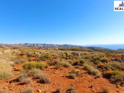 Parcela rústica en venta en Felix