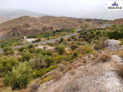 Parcela rústica en venta en Alcolea