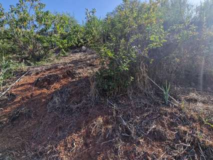 Parcela rústica en venta en Valleseco